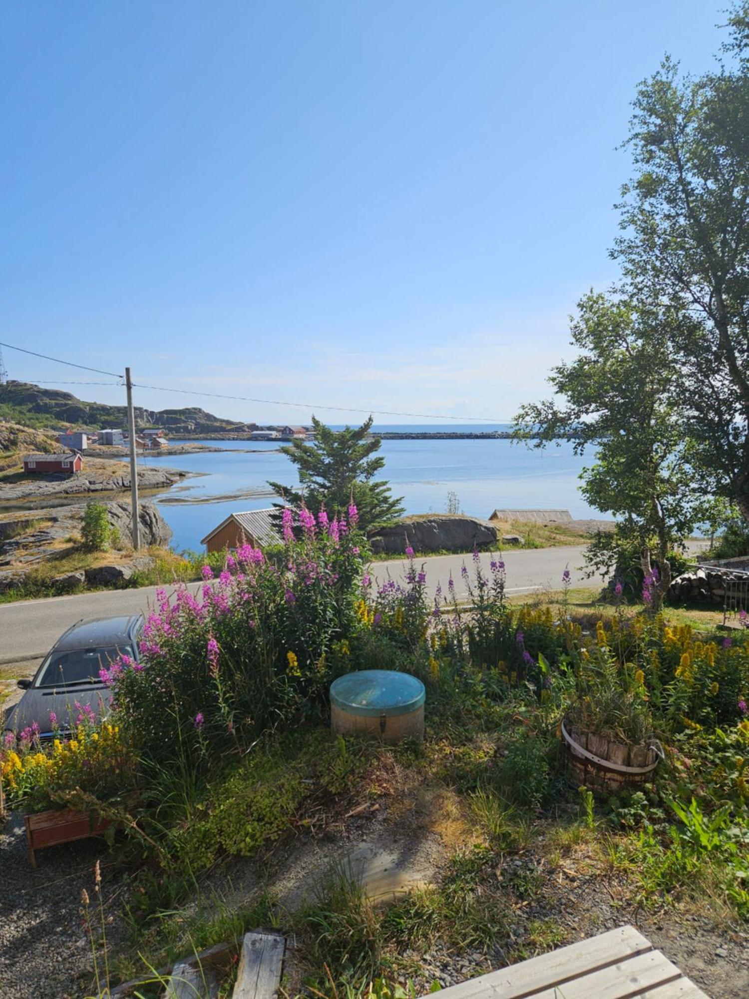 Moskenes Vacation Homes Ngoại thất bức ảnh